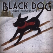 Black Dog Ski - Art Print by Ryan Fowler | Movie Poster Prints from Posterazzi