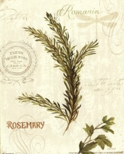 Aromatique II - Art Print by Lisa Audit | Movie Poster Prints from Posterazzi
