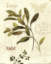 Aromatique IV - Art Print by Lisa Audit | Movie Poster Prints from Posterazzi